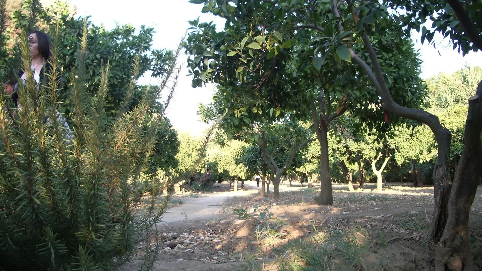 Bed & Breakfast Villa Dei Giardini San Leone